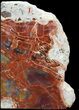Tall Arizona Petrified Wood Bookends - Red/Purple/Yellow #45365-2